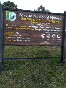 IMG-20201113-WA0002