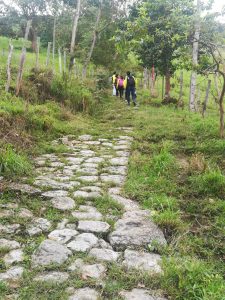 IMG-20201113-WA0064
