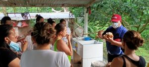 PROBANDO LOS GRANOS DEL CACAO